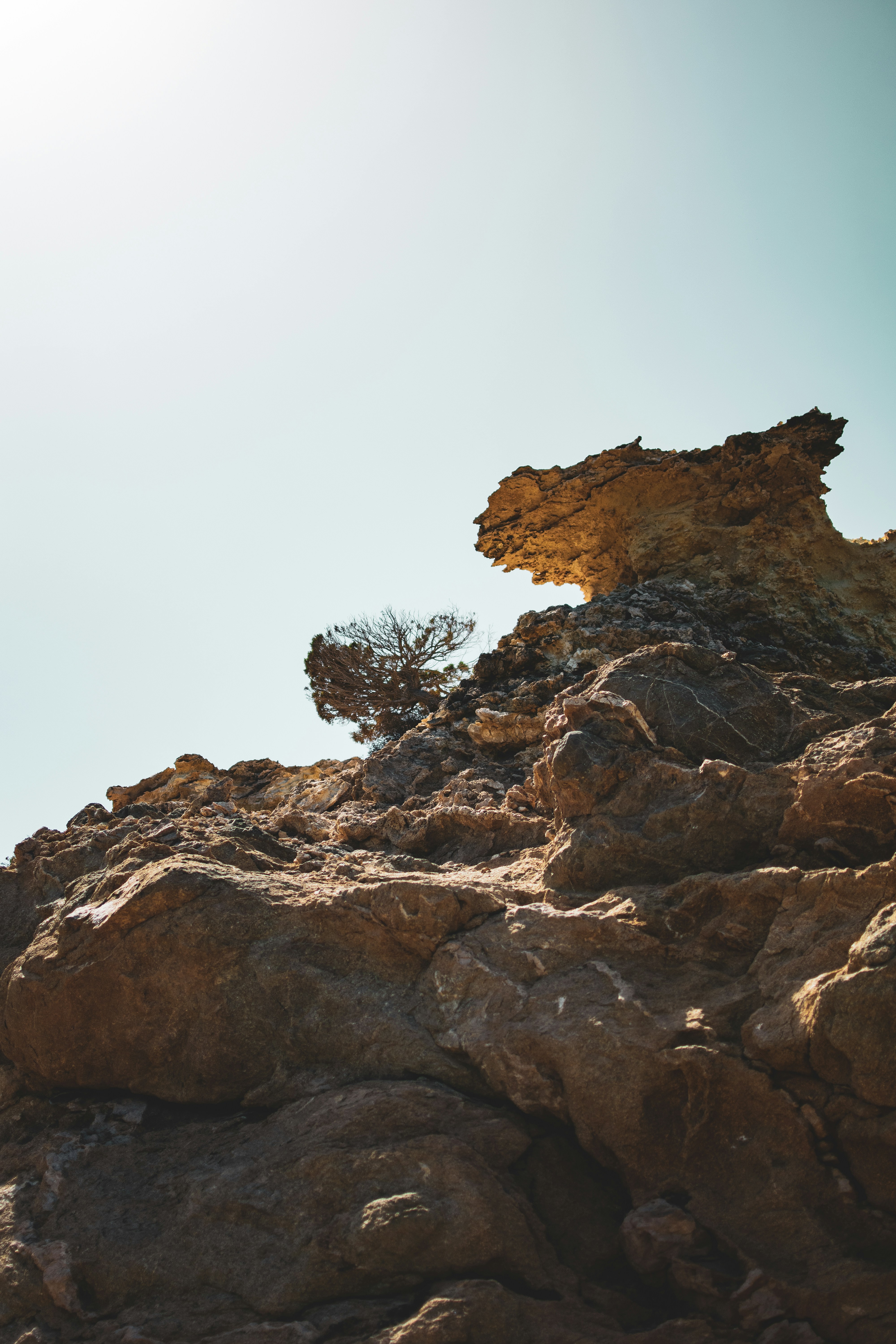 a rock formation with a tree growing out of it