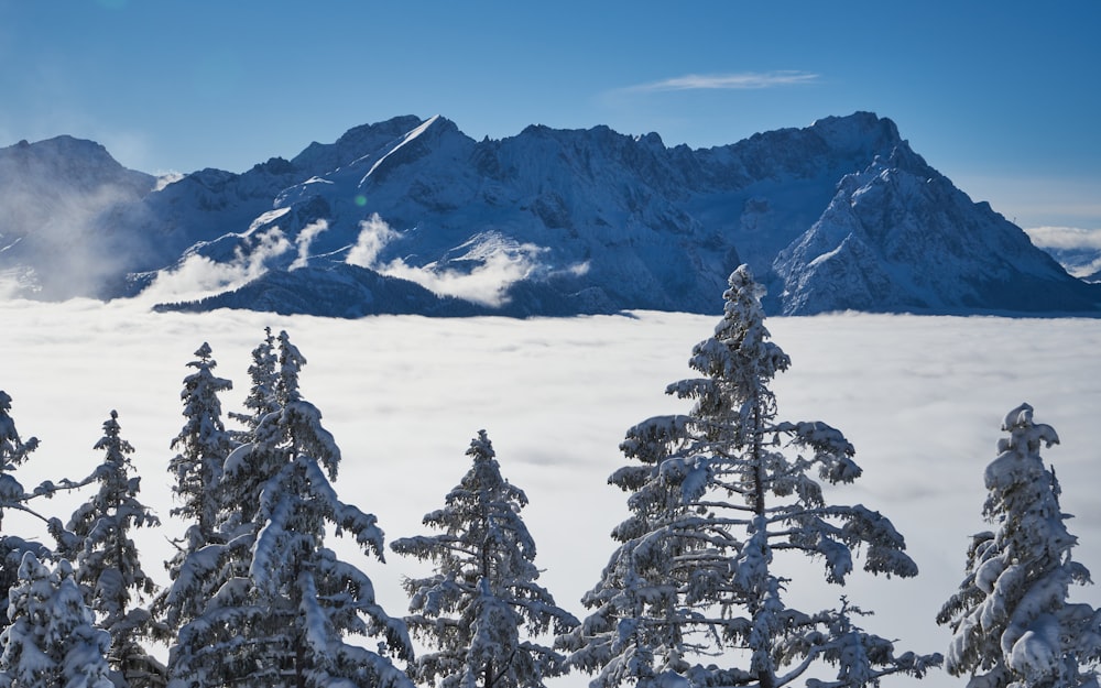 a view of a mountain range covered in snow