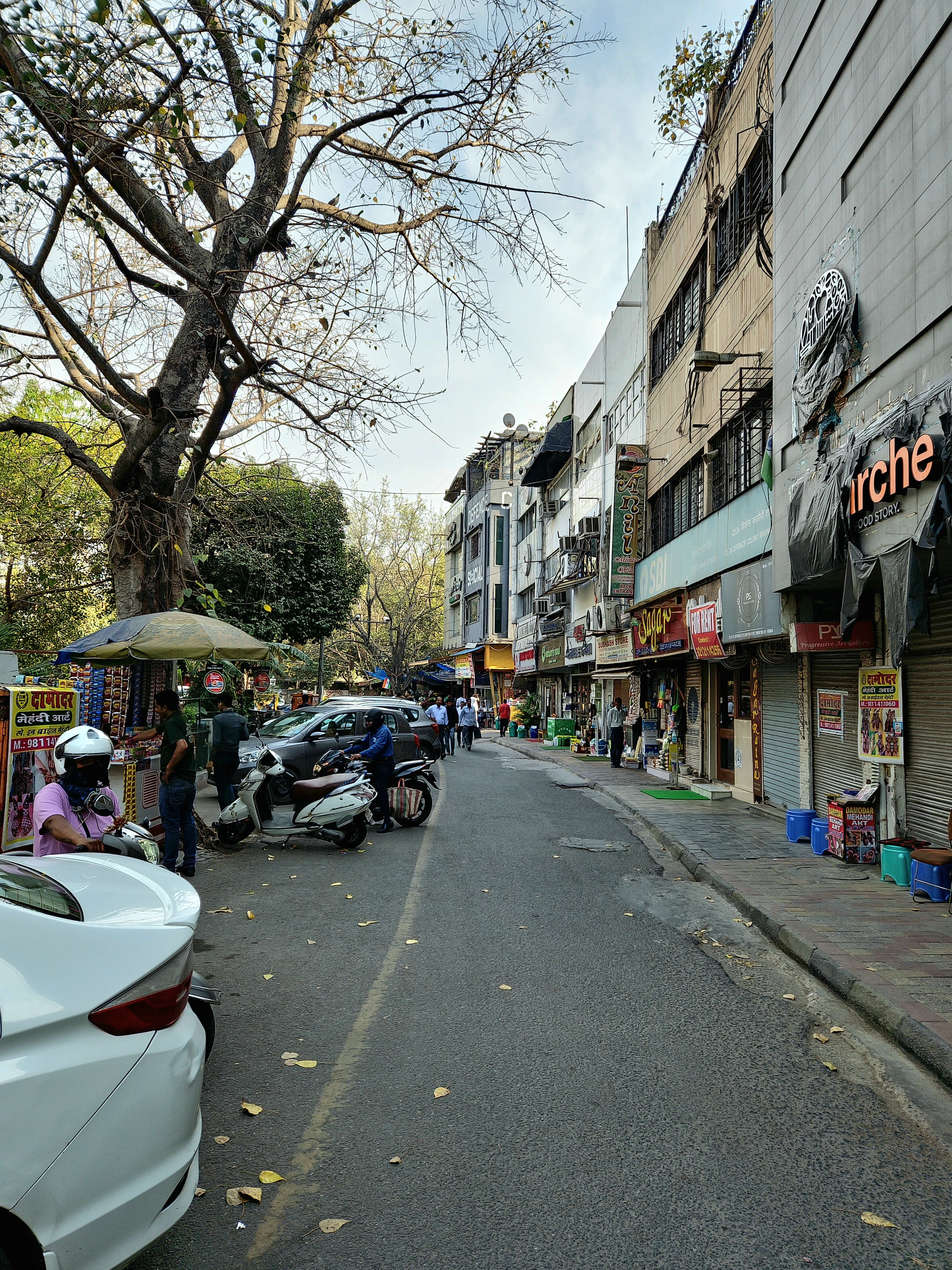 Narrow street lined with shops, trees and parked cars