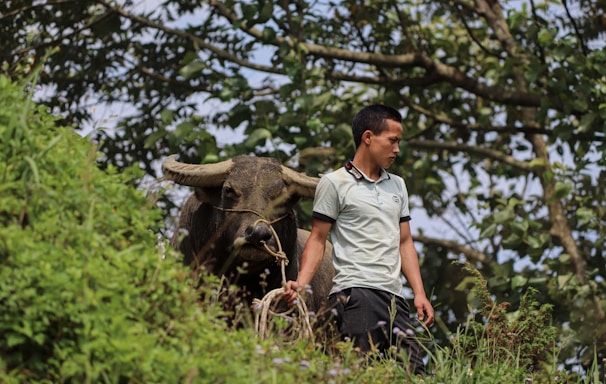 a man standing next to an animal in a forest