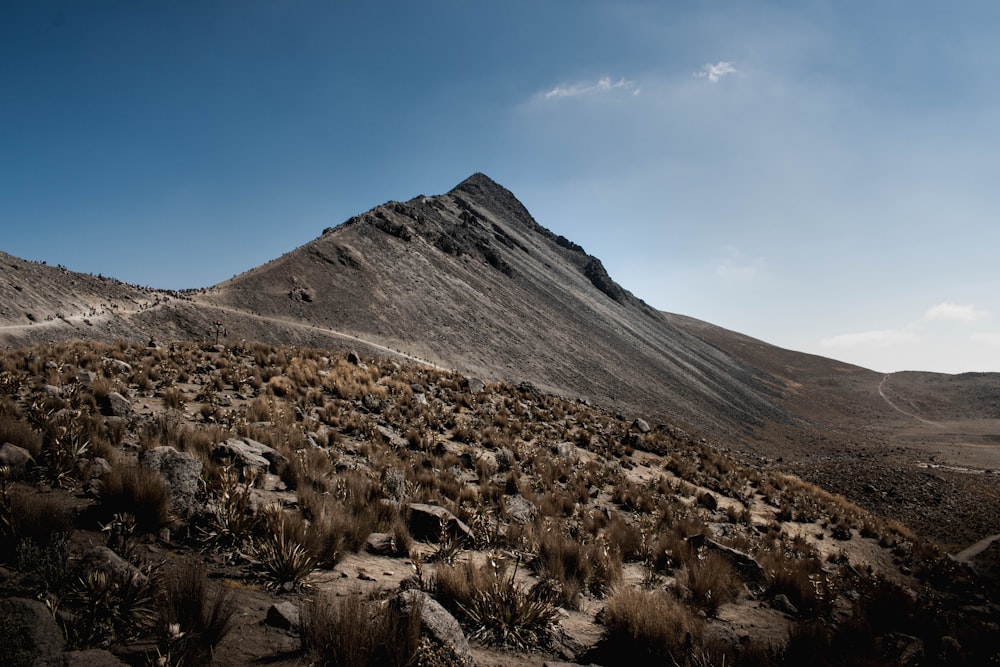 a very tall mountain with some plants on it