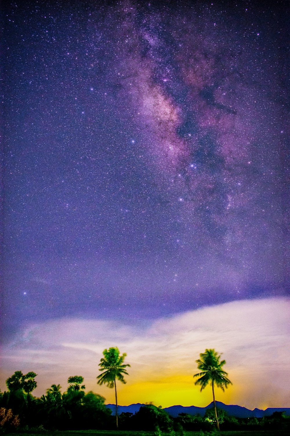 the night sky is filled with stars and palm trees