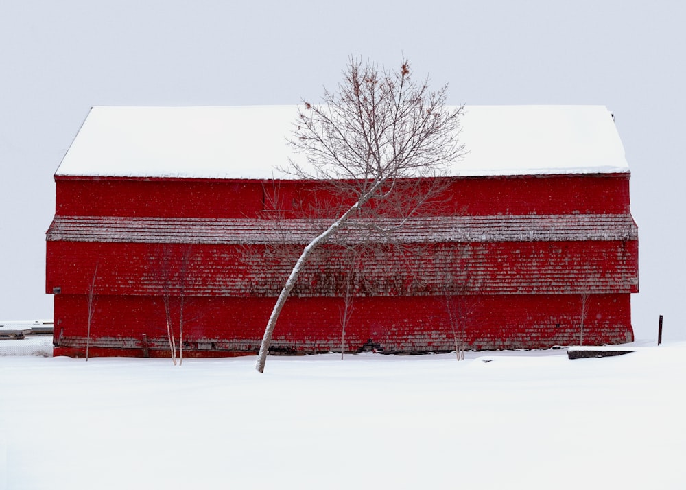 a red barn with a tree in the snow