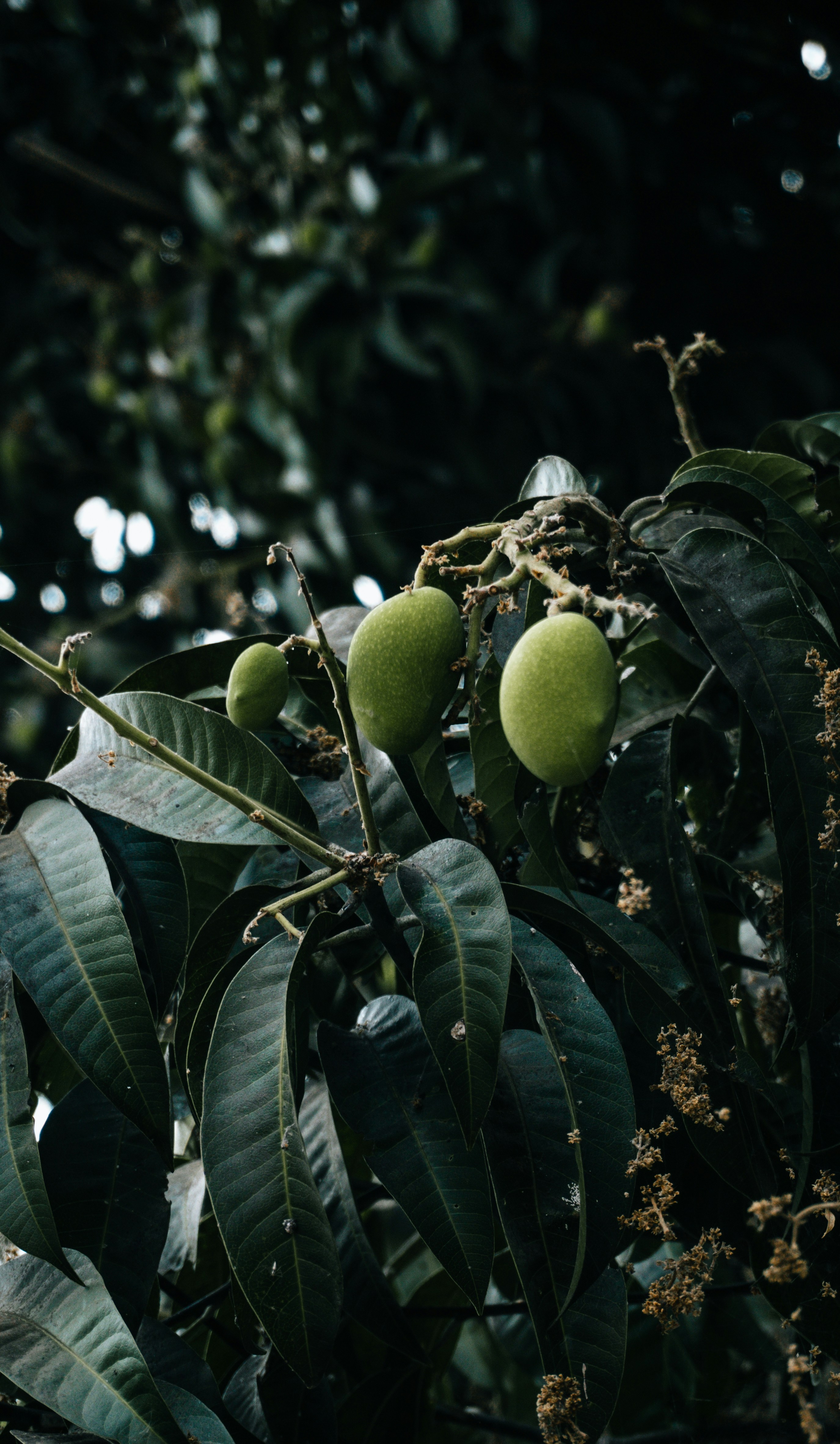 Photo by royphotography