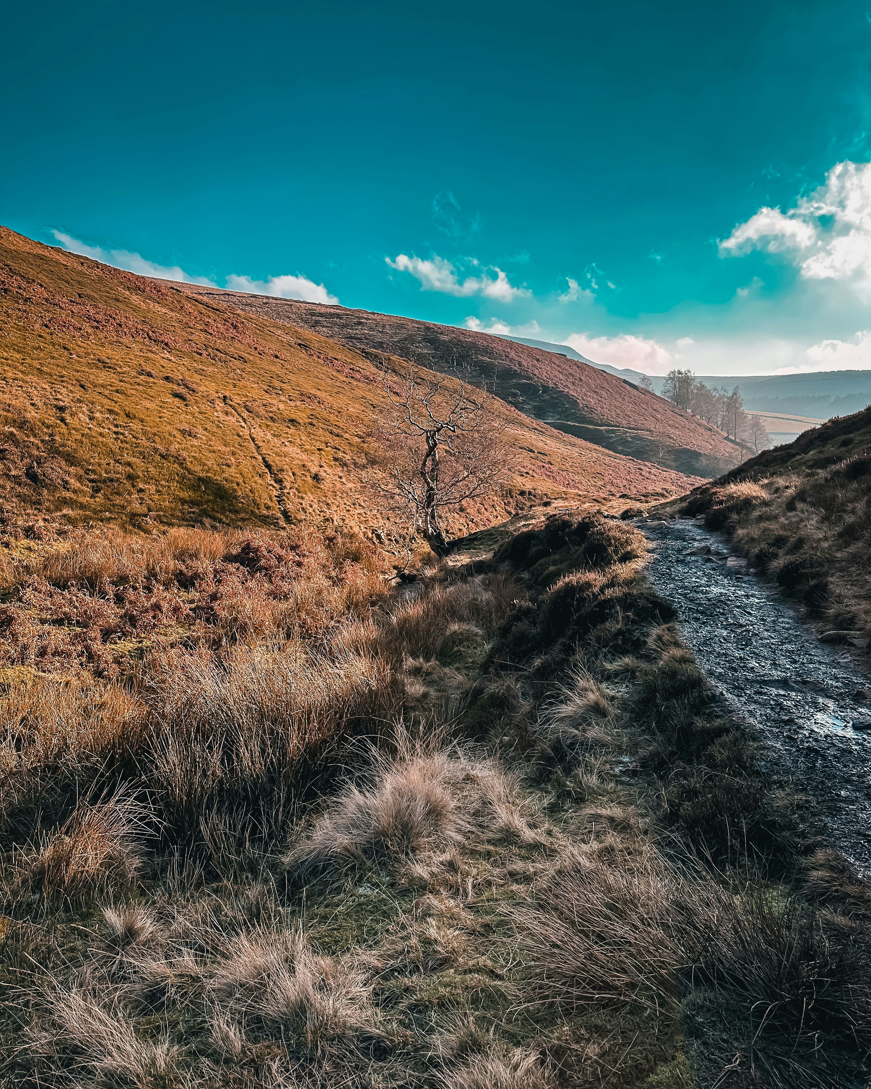 Photo by mancunianrookie