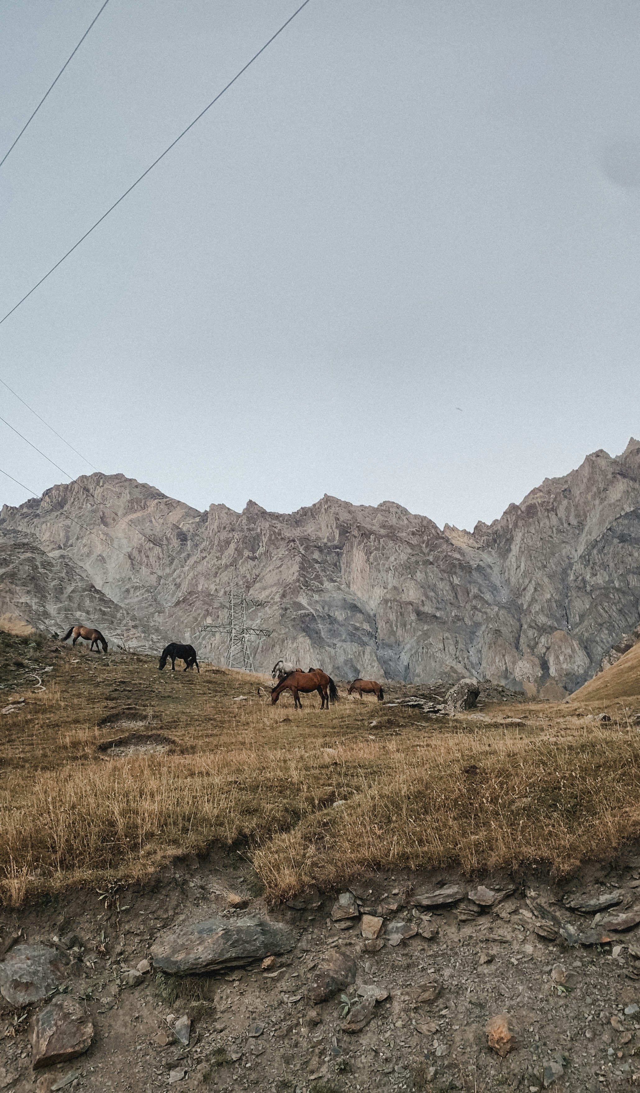 Photo by litskevich_ph