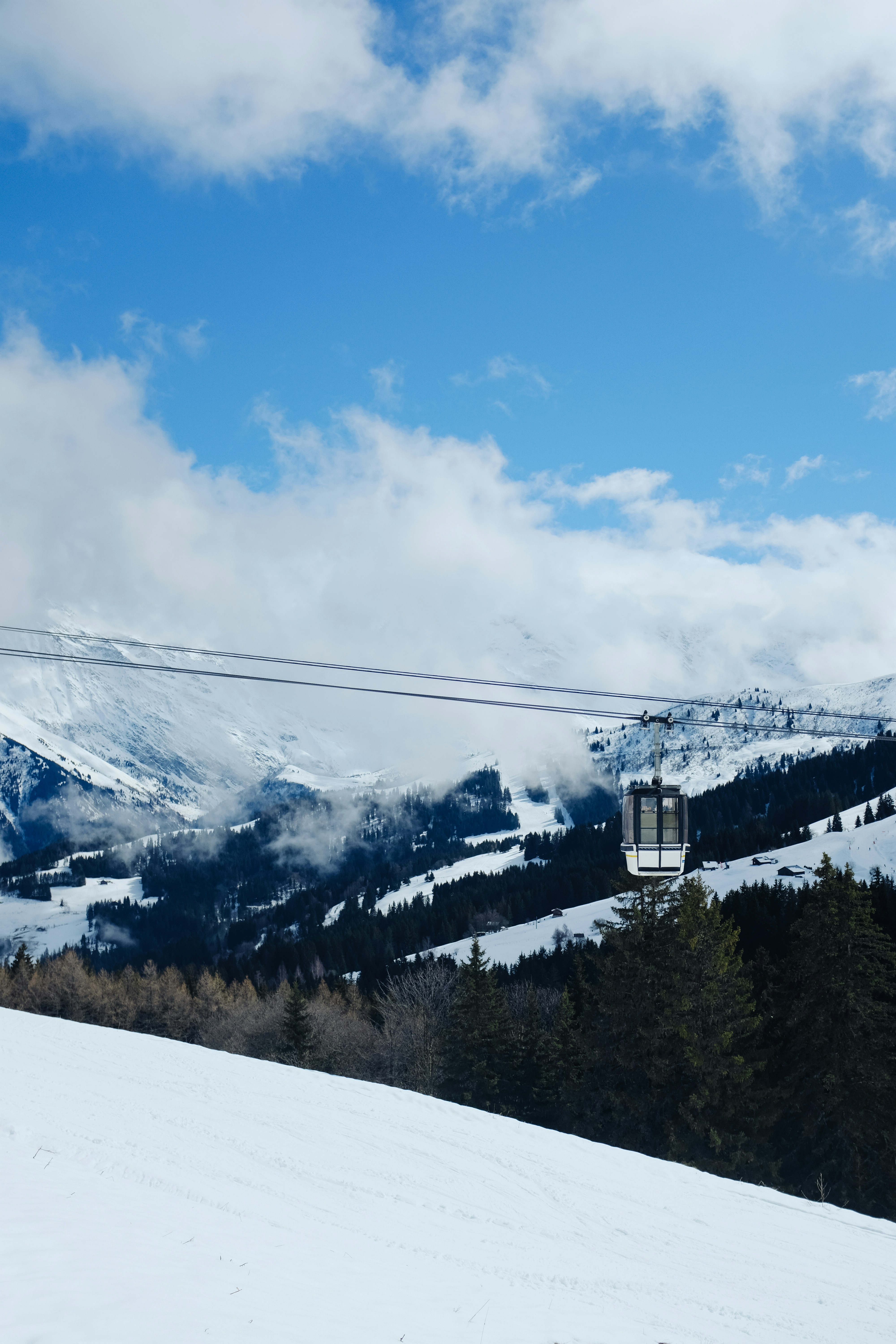 Photo by adrienolichon