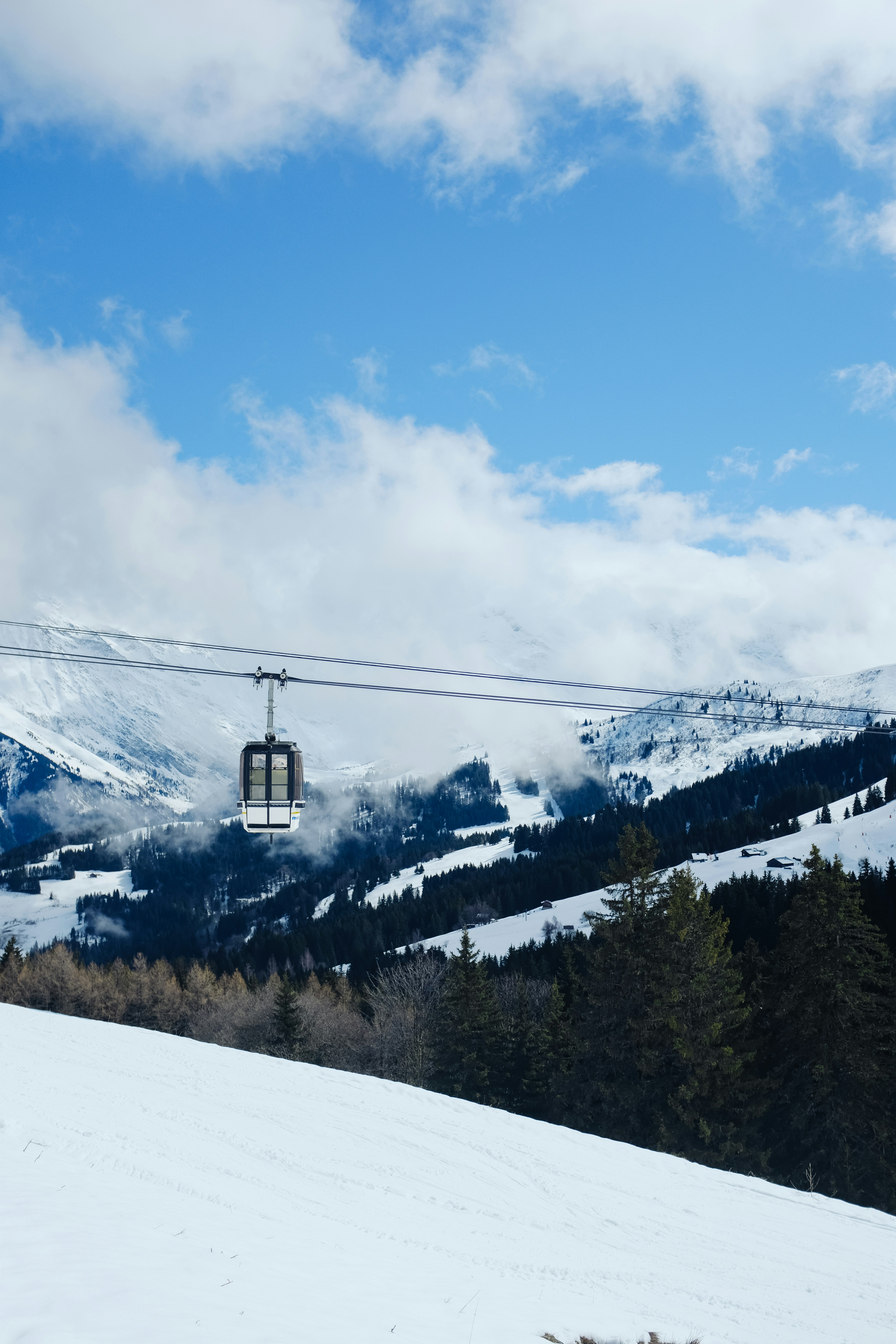 Photo by adrienolichon