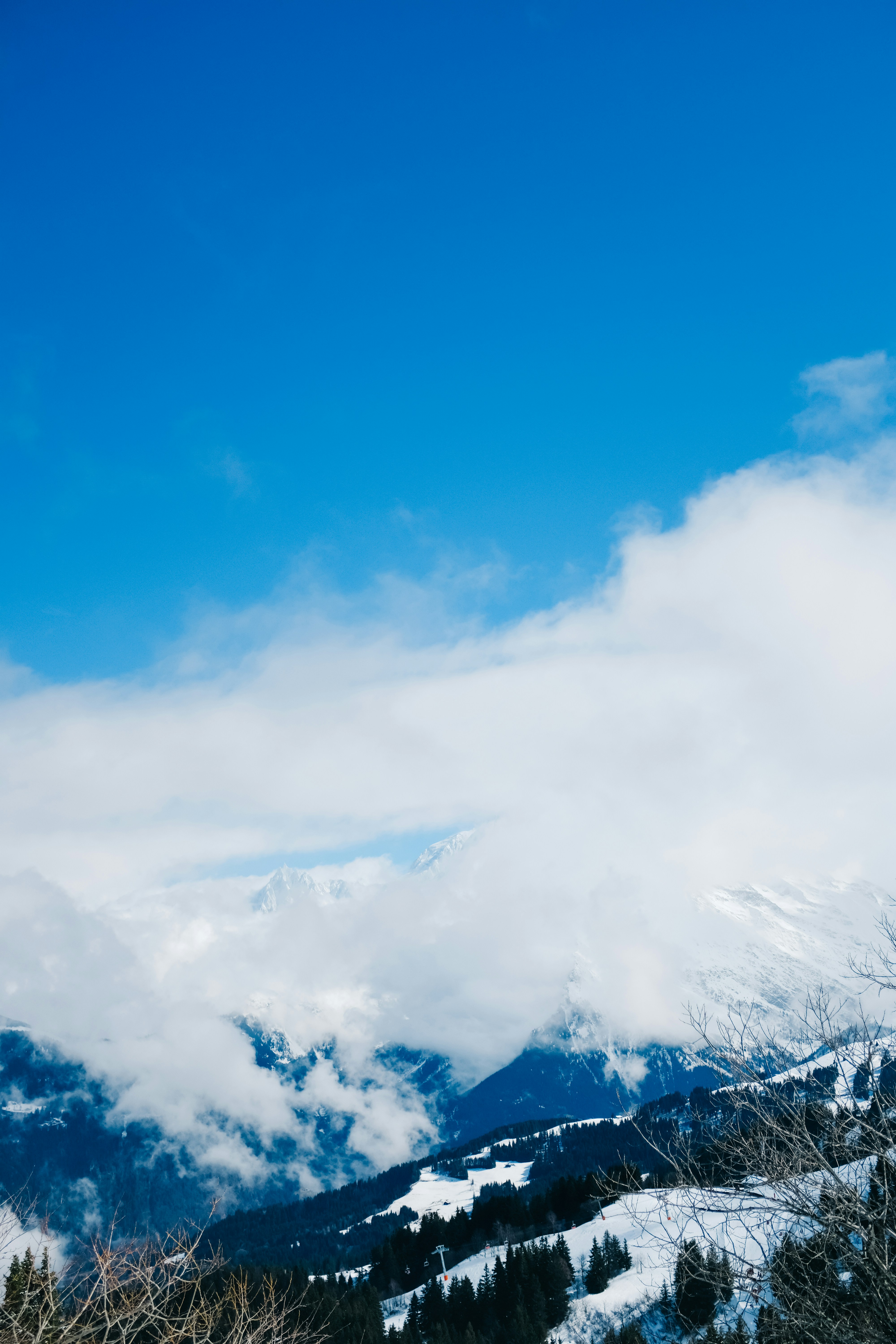 Photo by adrienolichon