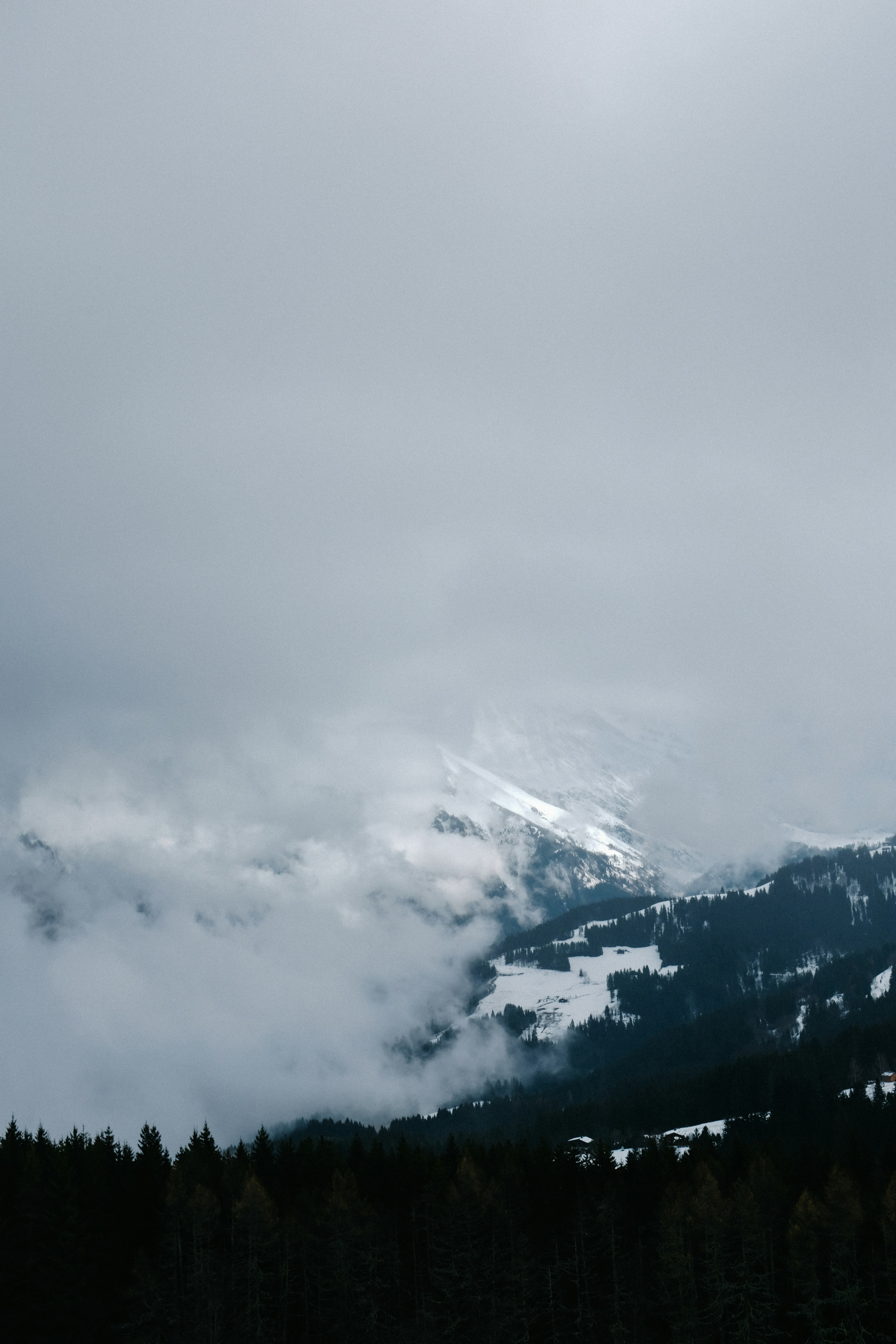 Photo by adrienolichon