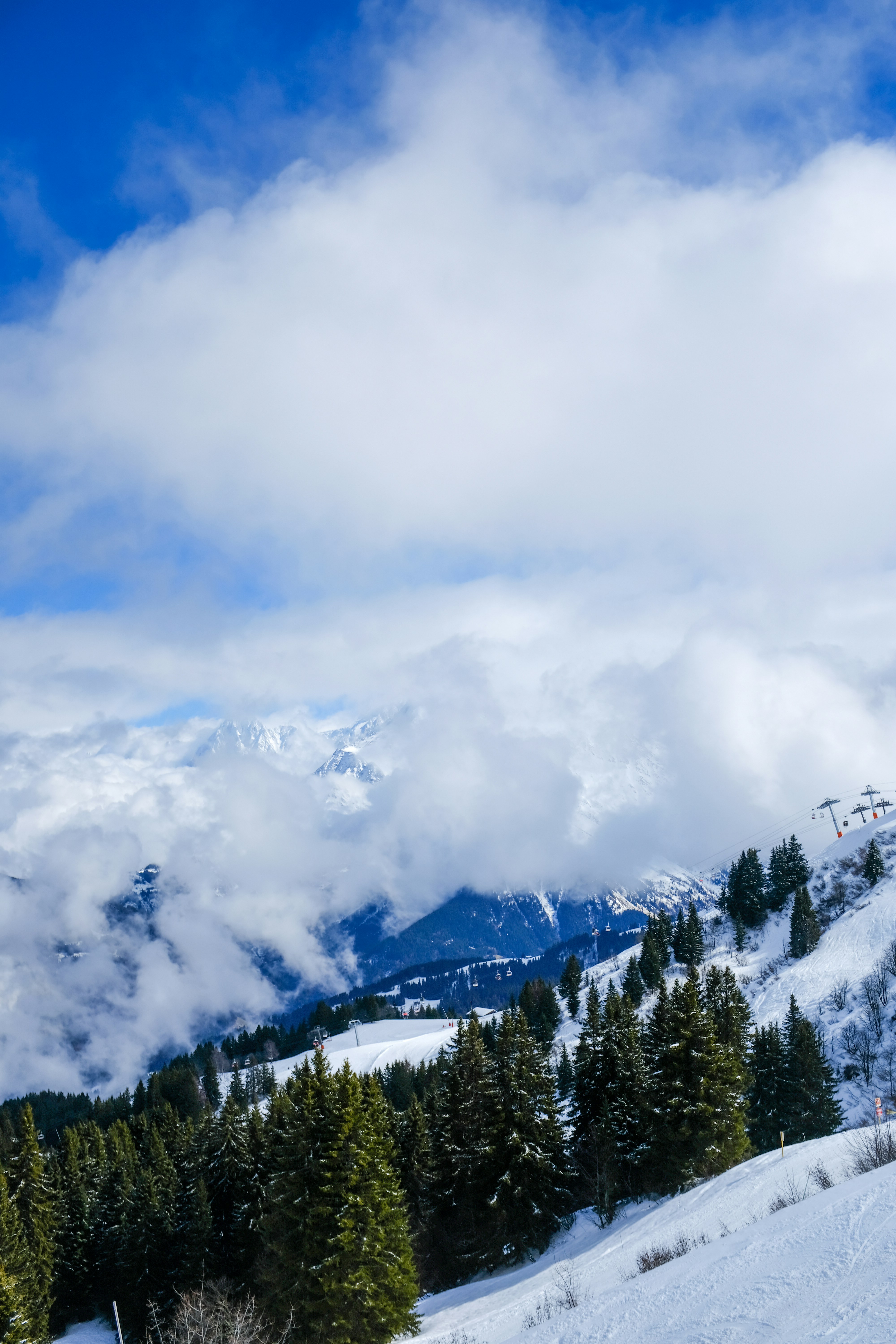 Photo by adrienolichon