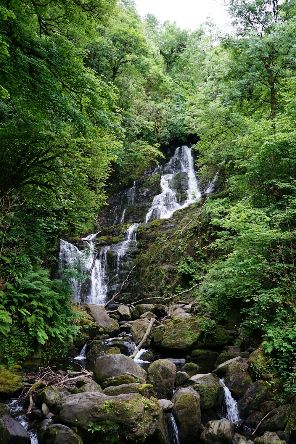 Una pequeña cascada en medio de un bosque