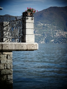 A sparkling clean stone terrace after high-pressure washing on a sunny day