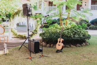 a guitar and speaker set up in the grass