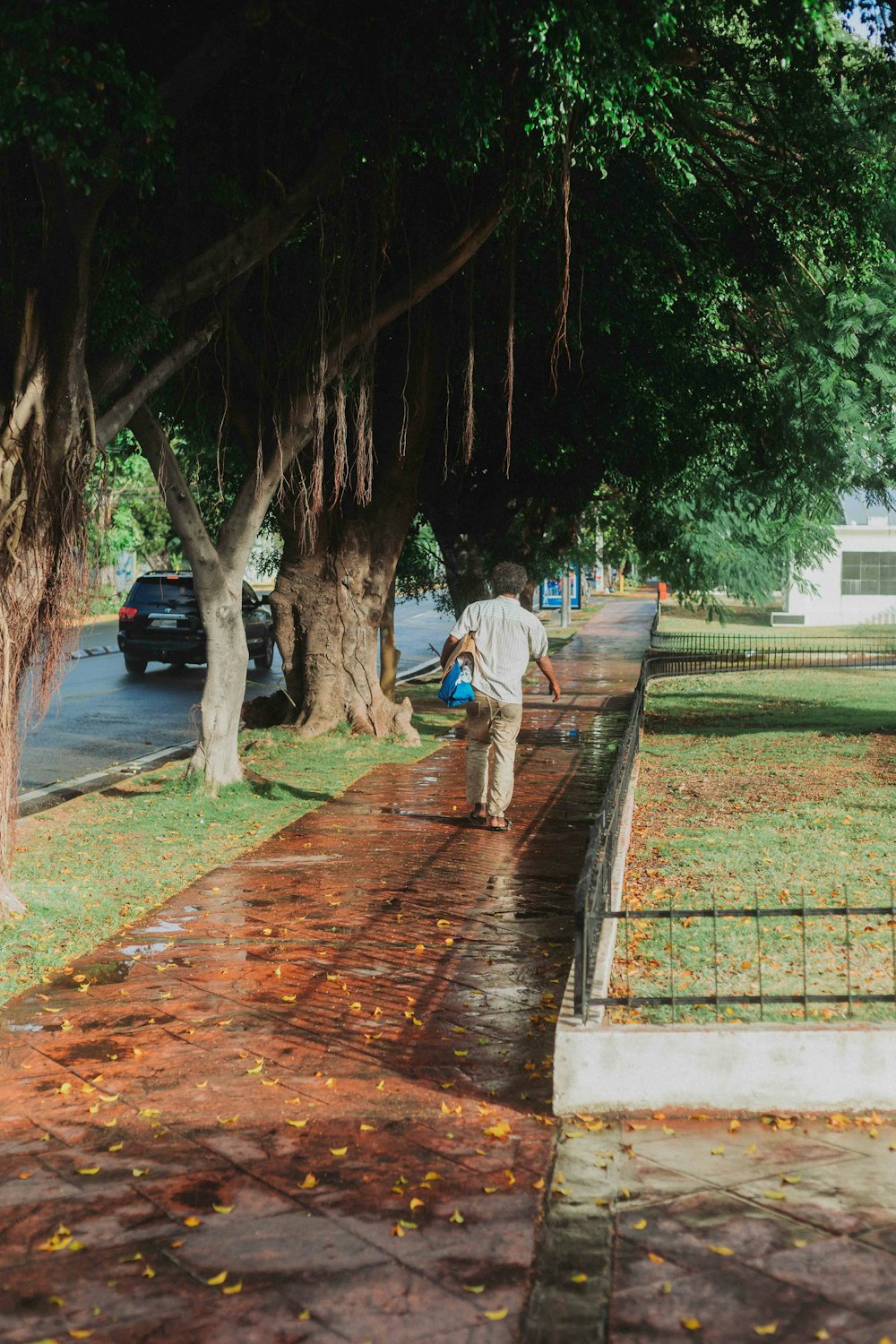 a man walking down a sidewalk next to a tree