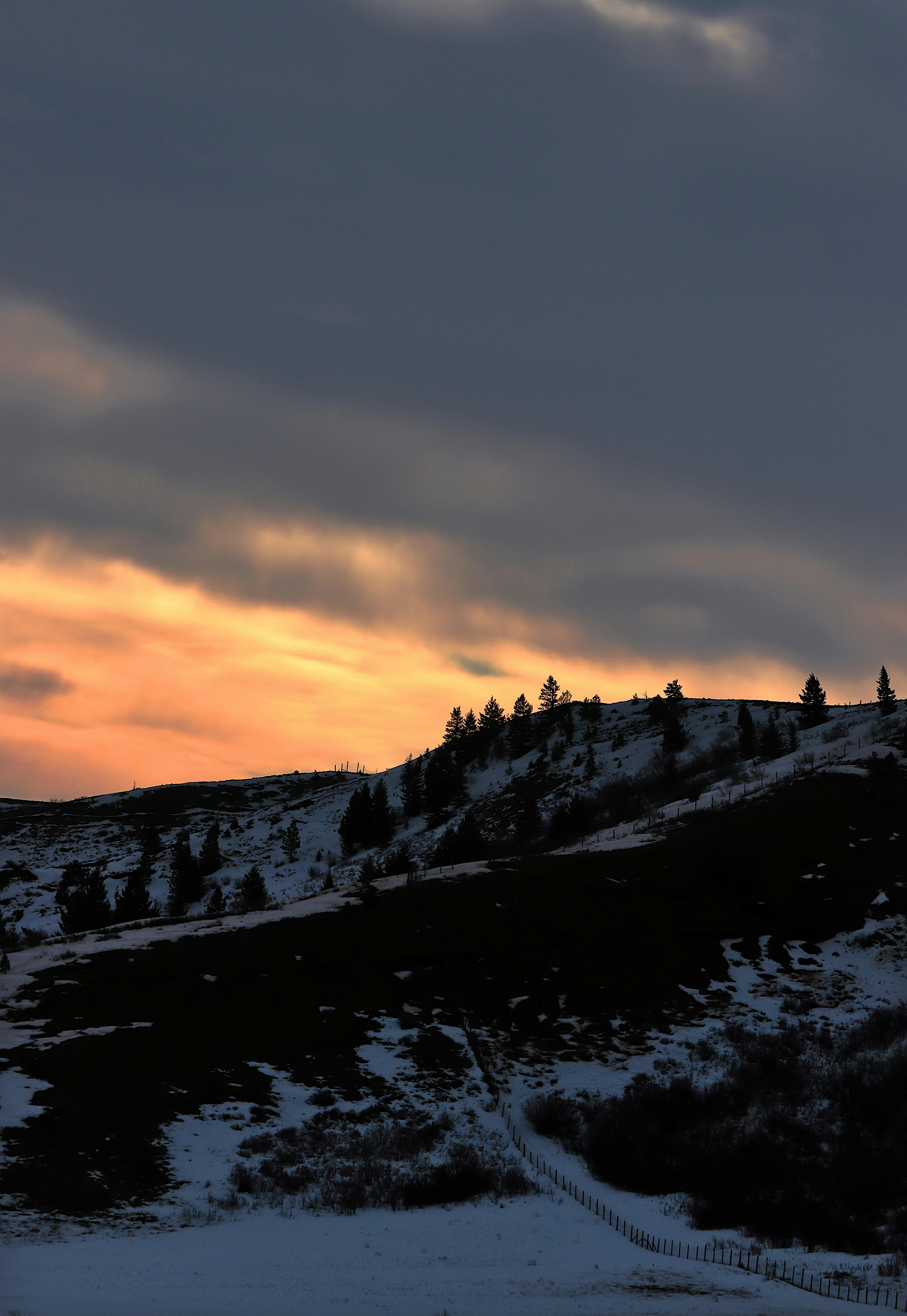 HYAKKEI - HYAKKEI added a new photo., image size:3000x4350