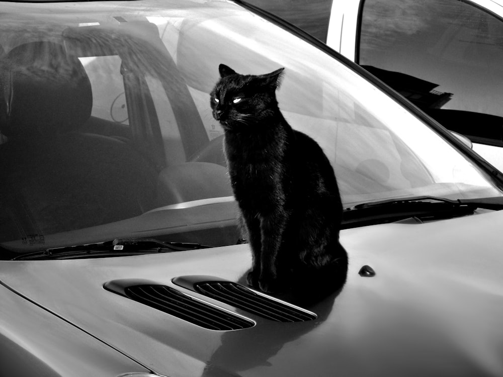 a black cat sitting on the hood of a car