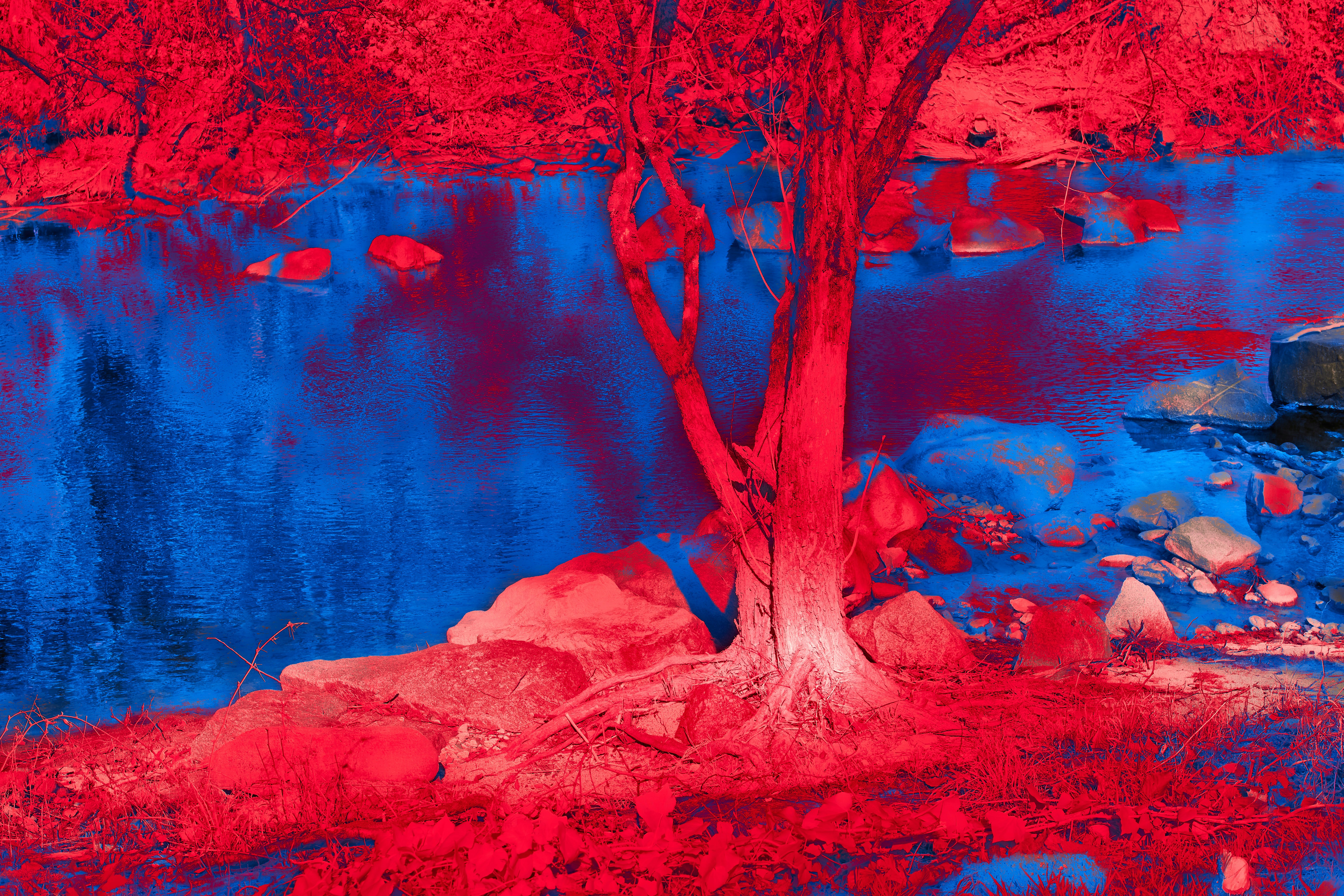 Photo by wolfgang_hasselmann