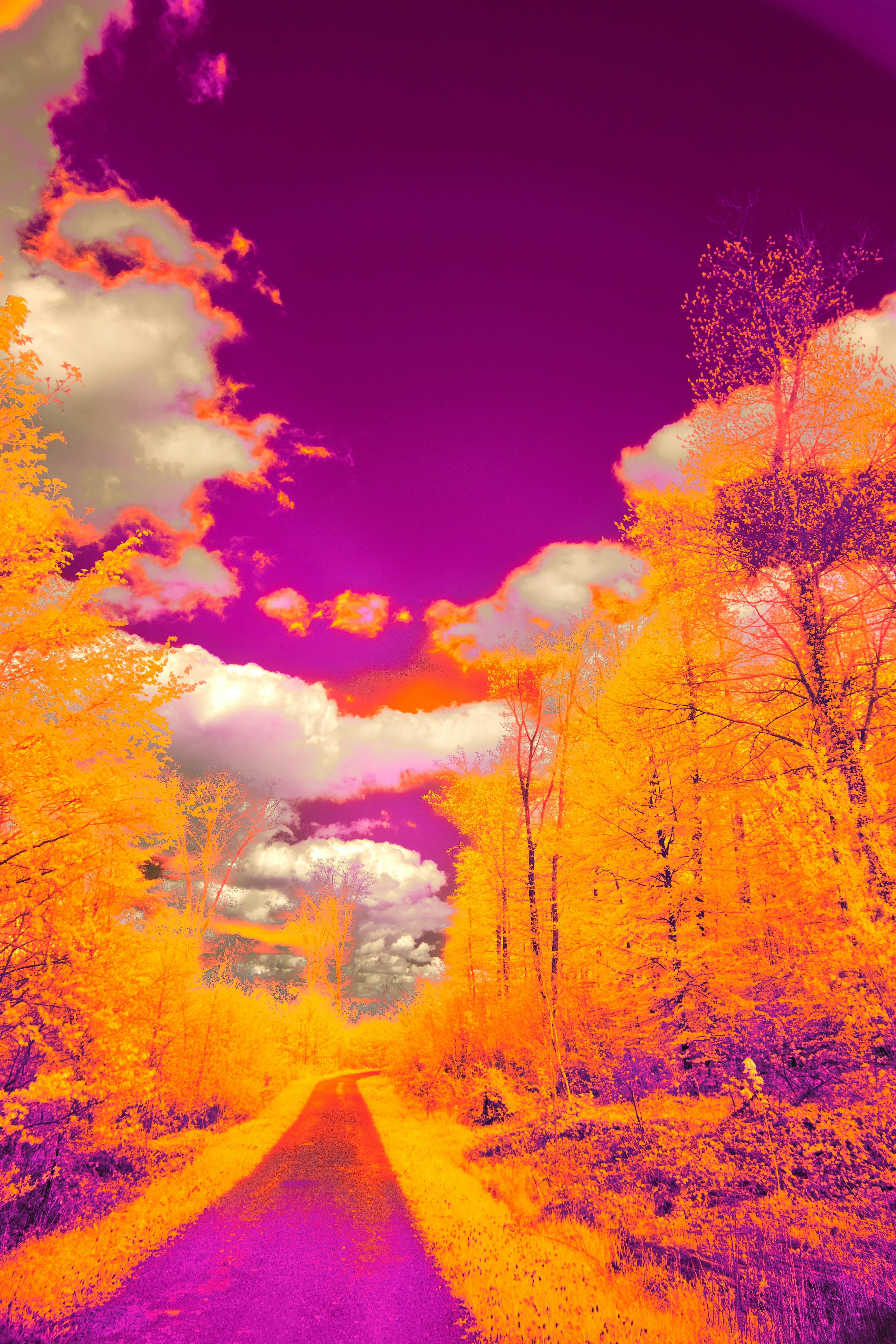 Photo by wolfgang_hasselmann