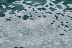 A body of water covered with white sea foam and some floating debris, including small leaves. The water's surface has a patchy distribution of foam creating unique patterns.