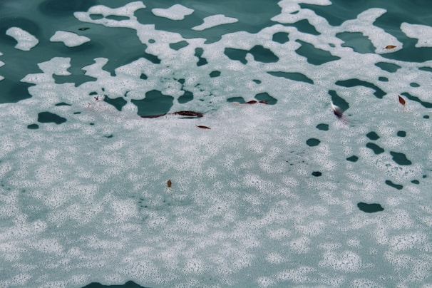 A body of water covered with white sea foam and some floating debris, including small leaves. The water's surface has a patchy distribution of foam creating unique patterns.