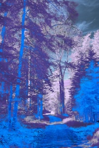 A forest path surrounded by tall trees is depicted in psychedelic colors, with vibrant blue and purple hues. The sky appears moody with patches of clouds, adding to the surreal atmosphere.