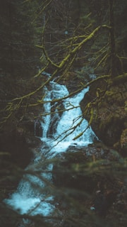 A serene natural water source in Myanmar, inspiring the purity behind Yara Fresh
