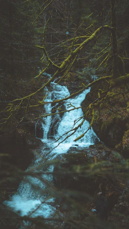 A serene shot of the natural water source in Oman that inspires the purity behind Awshal Water.