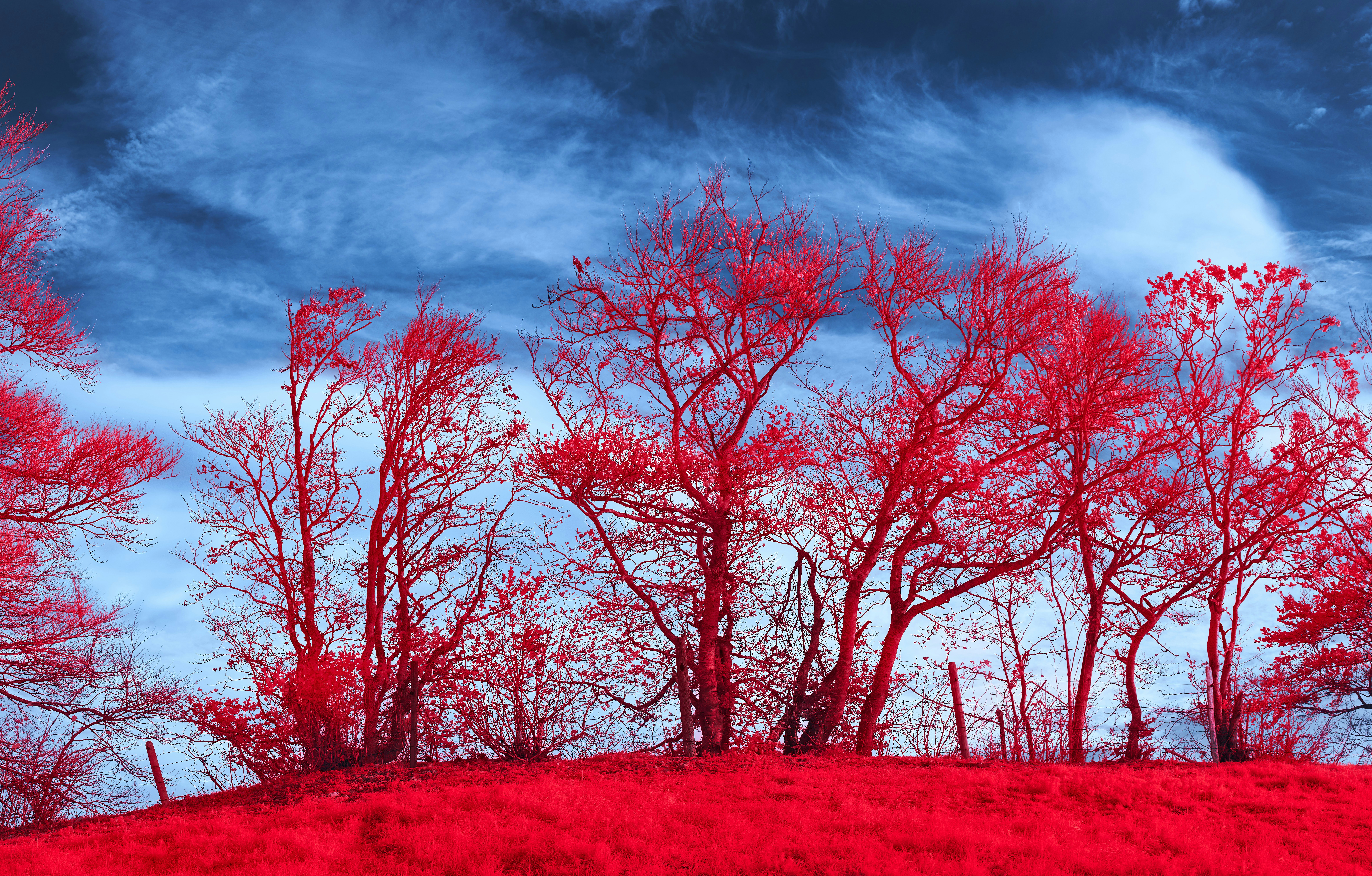 Photo by wolfgang_hasselmann