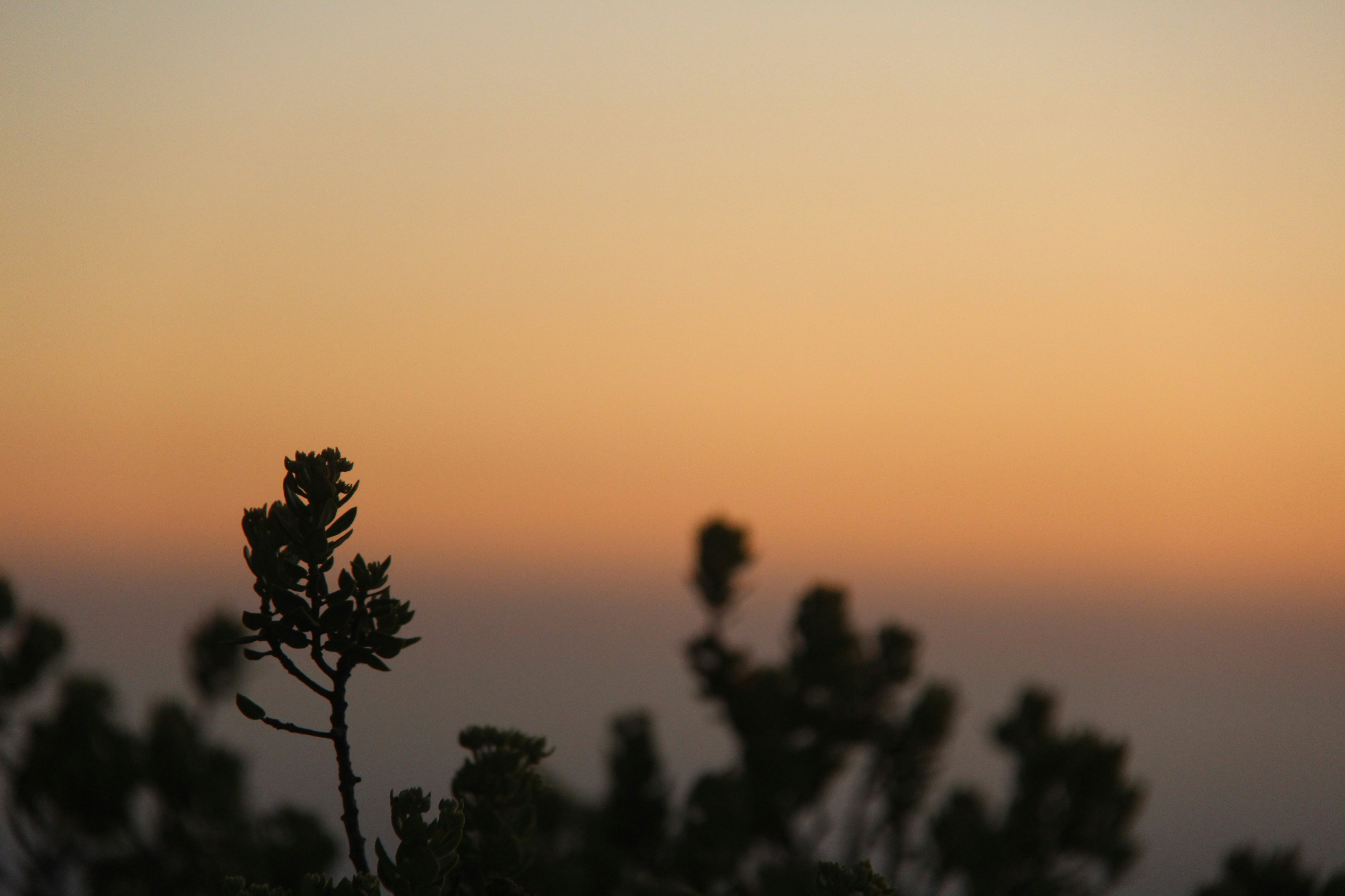 Photo by poseidonx