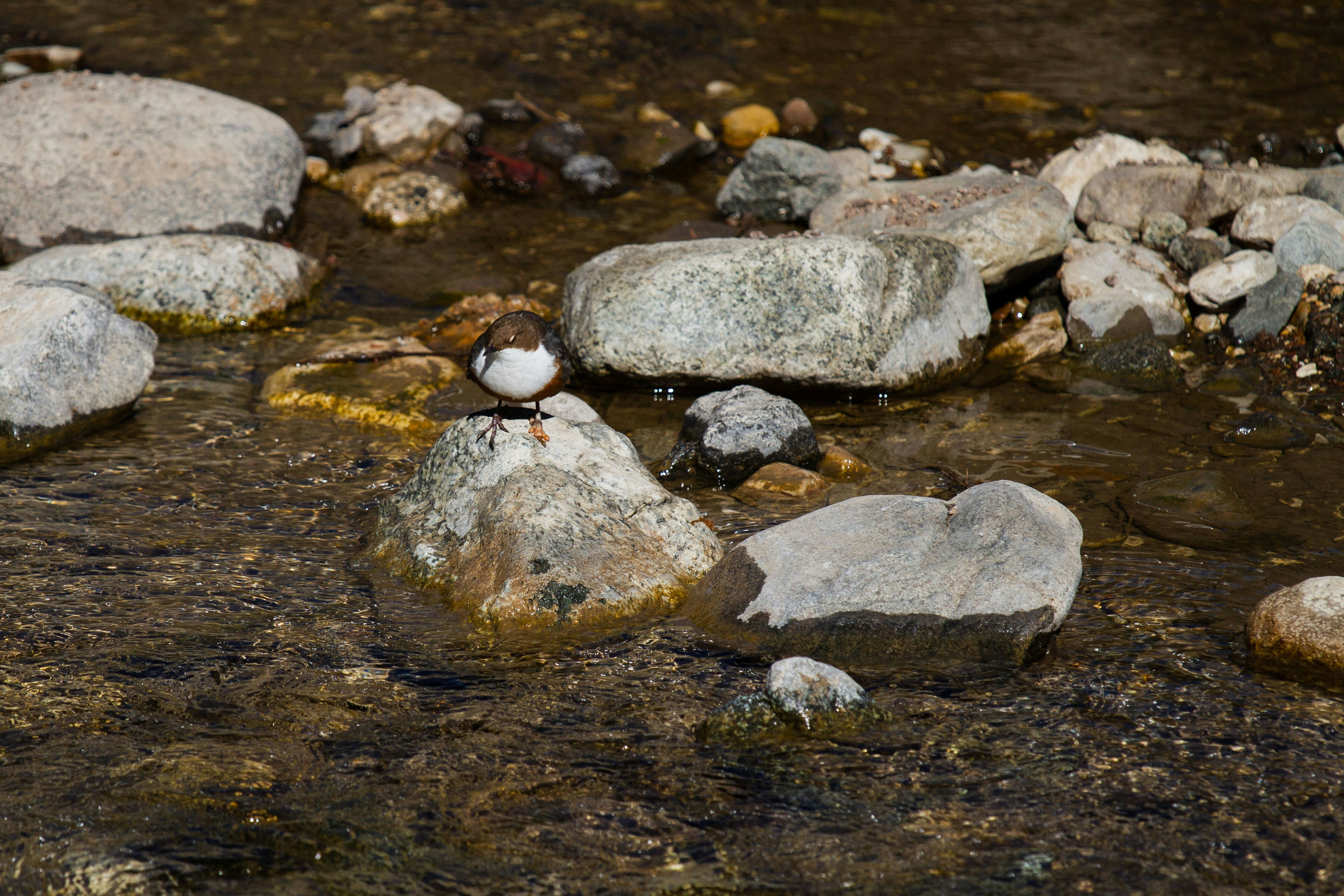 Photo by mattia_poli_04