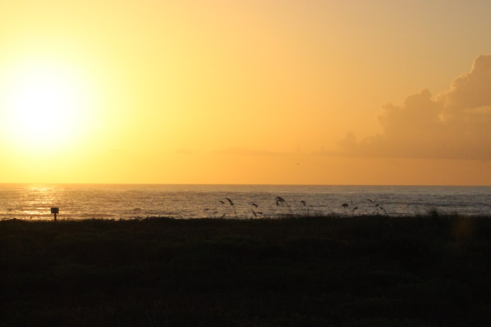 the sun is setting over the ocean with birds flying around