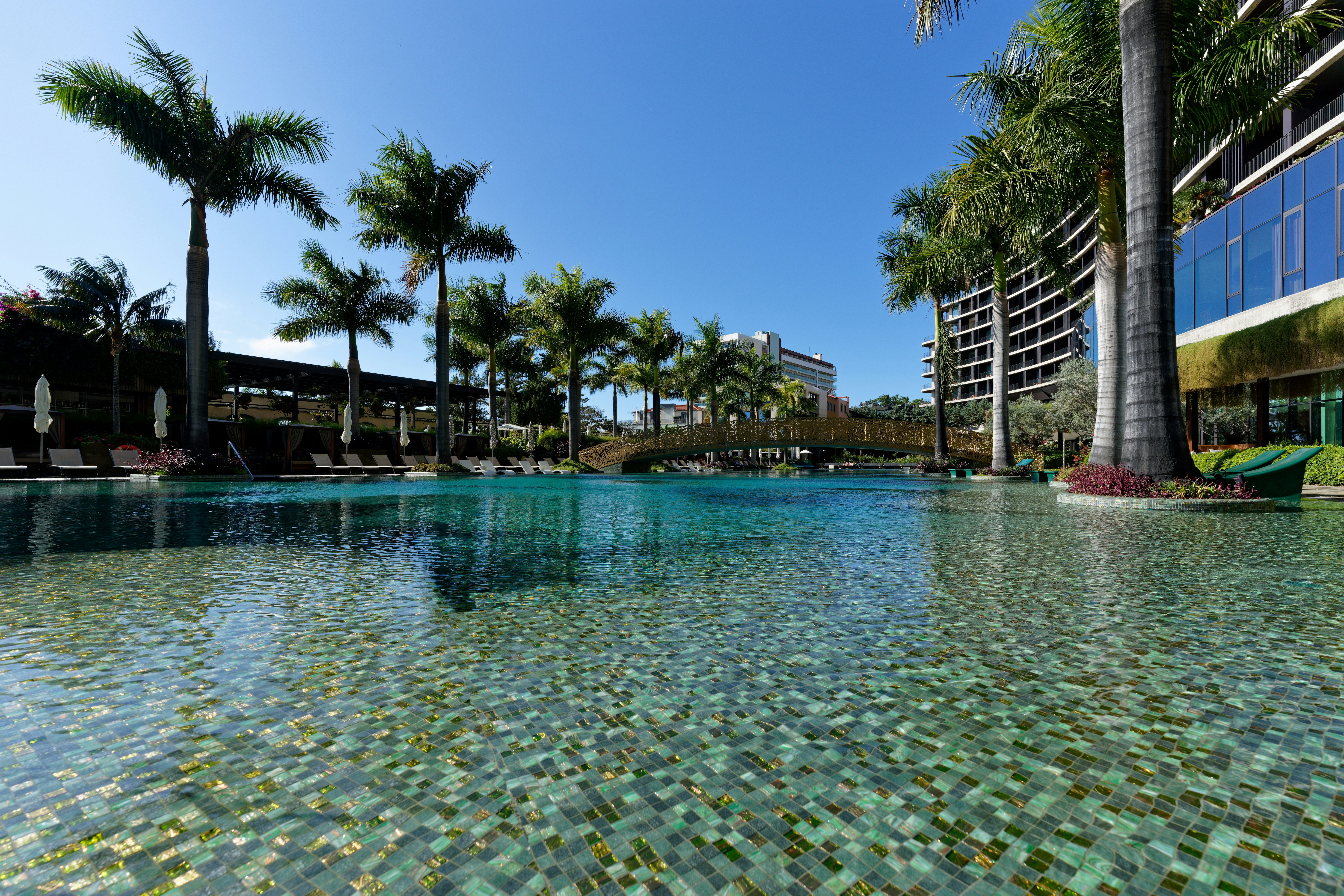 a large swimming pool surrounded by palm trees