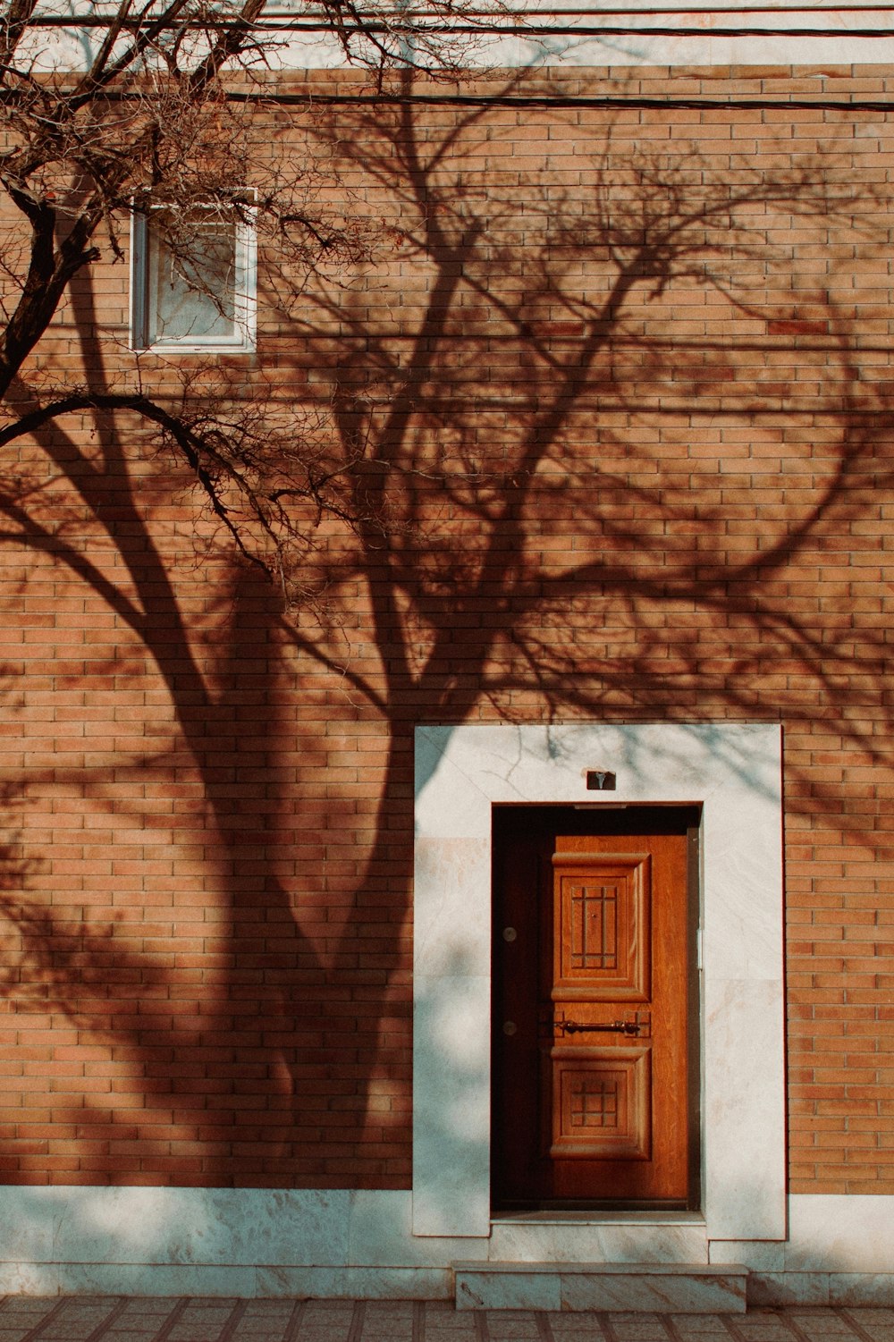 a tree casts a shadow on a brick building
