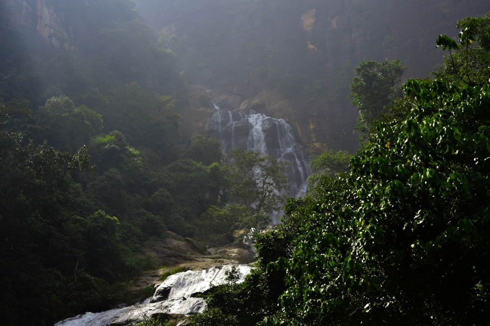 a small waterfall in the middle of a forest