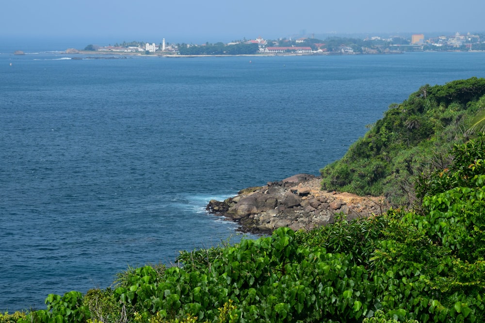 a body of water surrounded by lush green trees