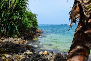 a view of the ocean from a rocky beach
