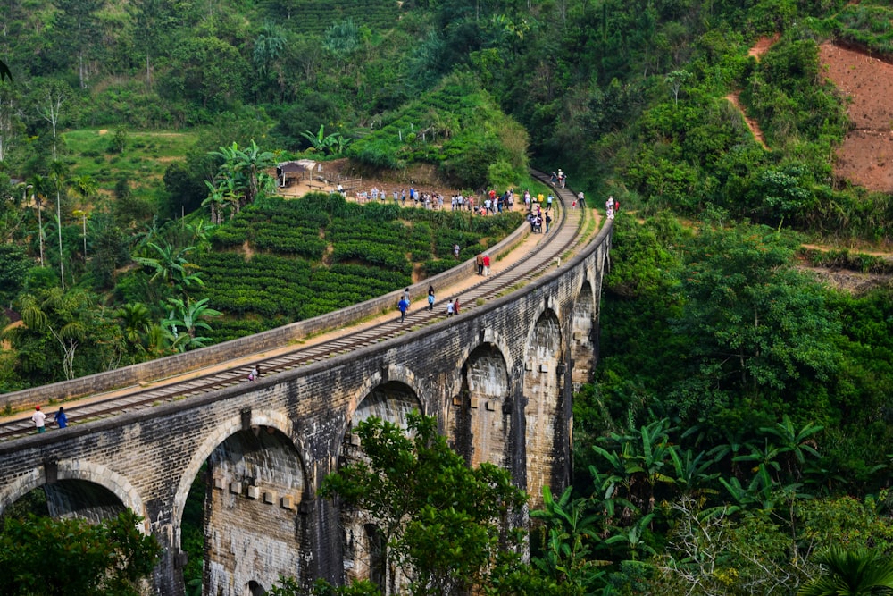 a group of people riding bikes on a bridge