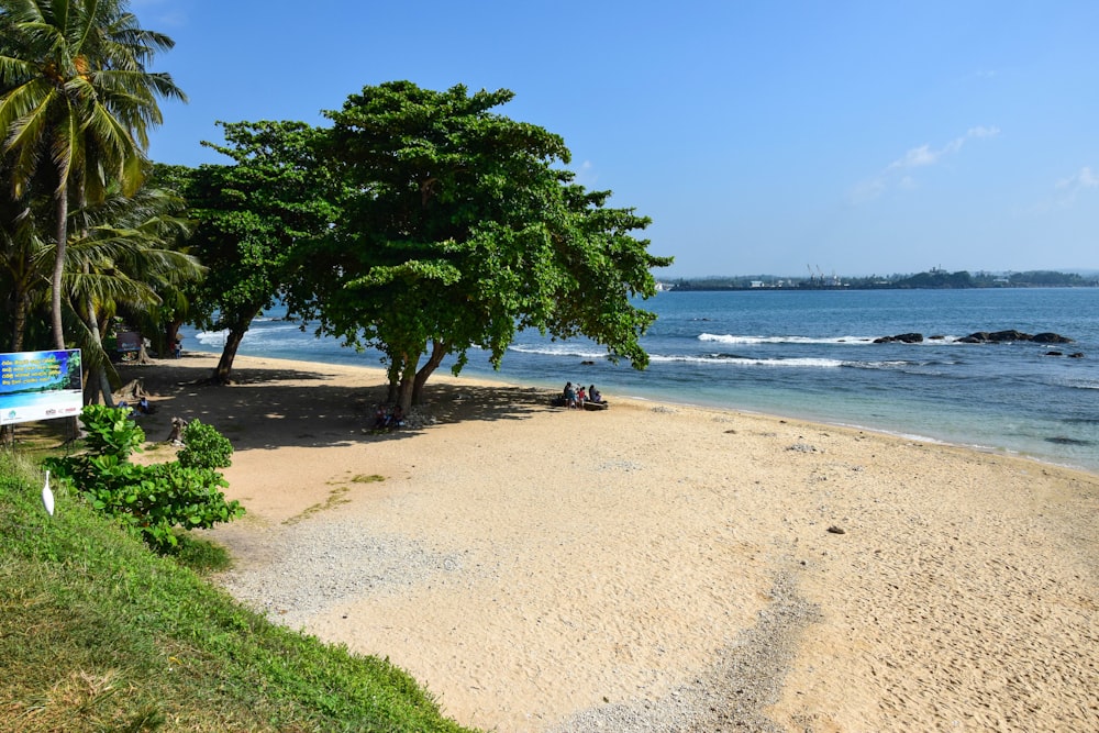 a sandy beach next to a body of water