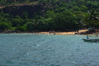 A scenic view of a tropical beach with tourists enjoying a guided tour.