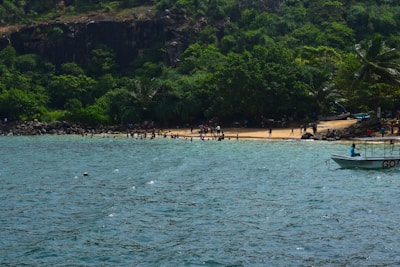 A scenic view of a tropical beach with tourists enjoying a guided tour.