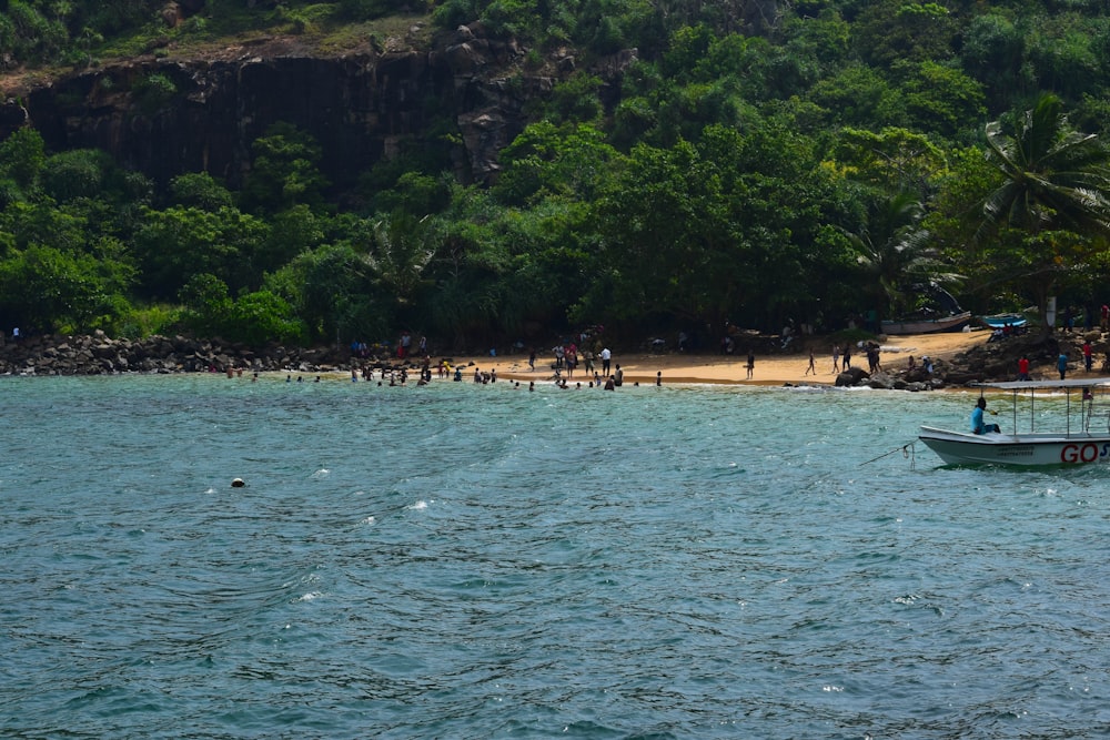 a boat on a body of water near a beach