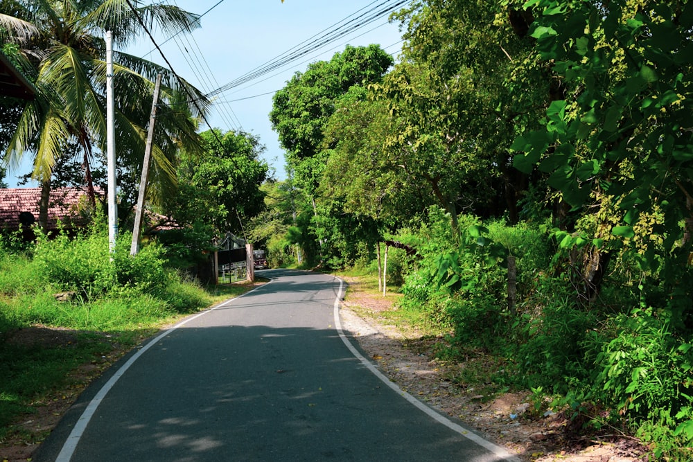 an empty road surrounded by lush green trees