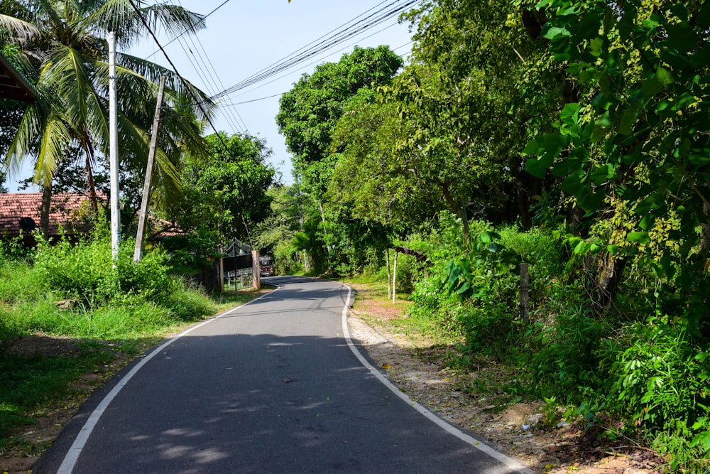 an empty road surrounded by lush green trees