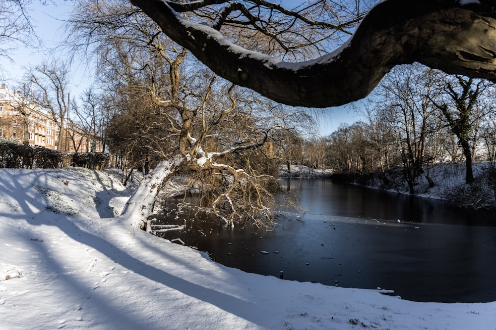 a river running through a snow covered park