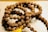 A string of prayer beads made from small, textured brown seeds, intricately arranged in a circular fashion. A yellow tassel is attached at one end, adding a vibrant touch to the earthy tones.
