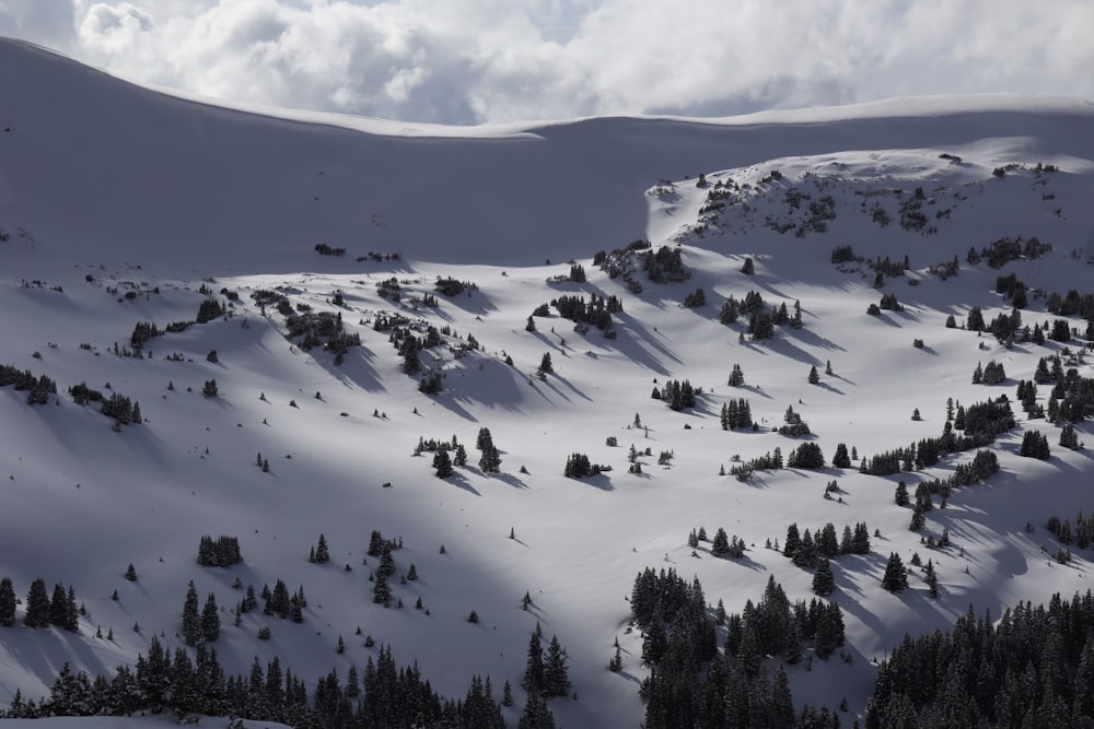 a mountain covered in snow and trees under a cloudy sky