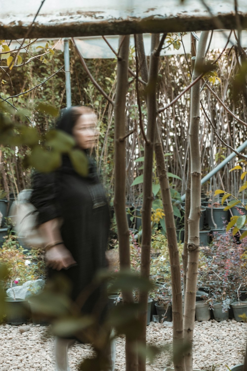 a woman walking through a garden with lots of trees