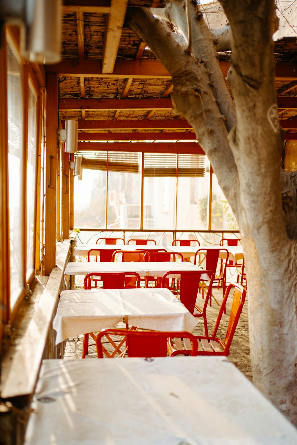 a restaurant with tables and chairs and a tree