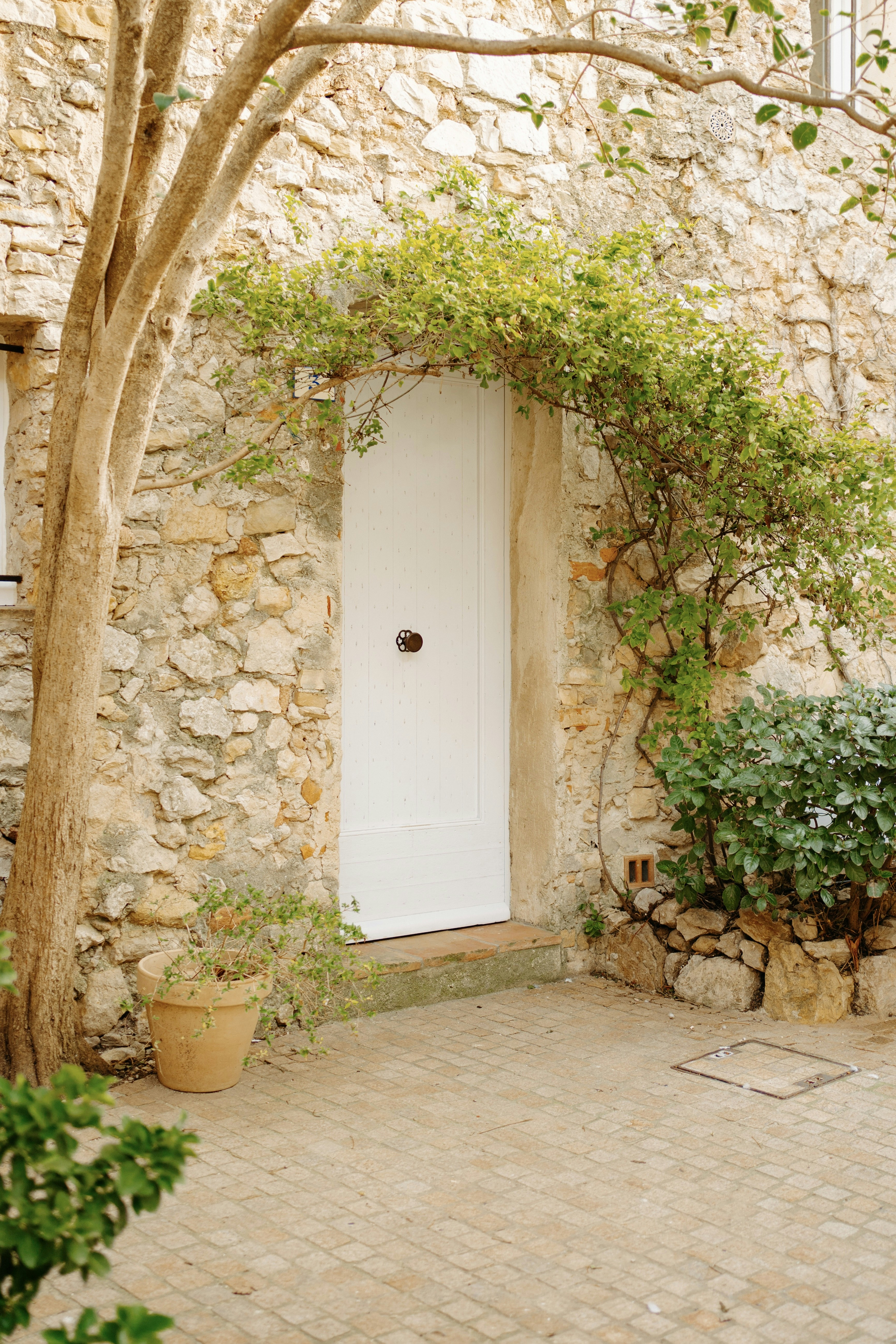 Photo by elisadventure_photo